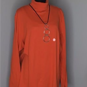 #419.  Fashion bug ribbed turtleneck size 2X